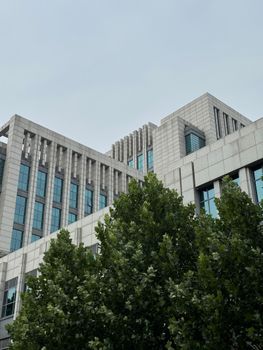 Facade of a modern building with geometric lines and trees in the foreground on a clear day.