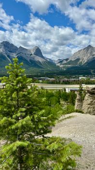 Breathtaking view of the Canadian Rockies with lush greenery on a sunny day.