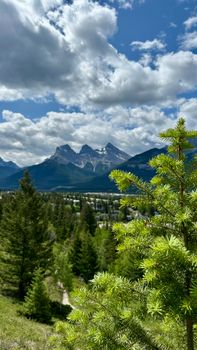Breathtaking view of the Canadian Rockies under a blue summer sky with lush green pine trees.