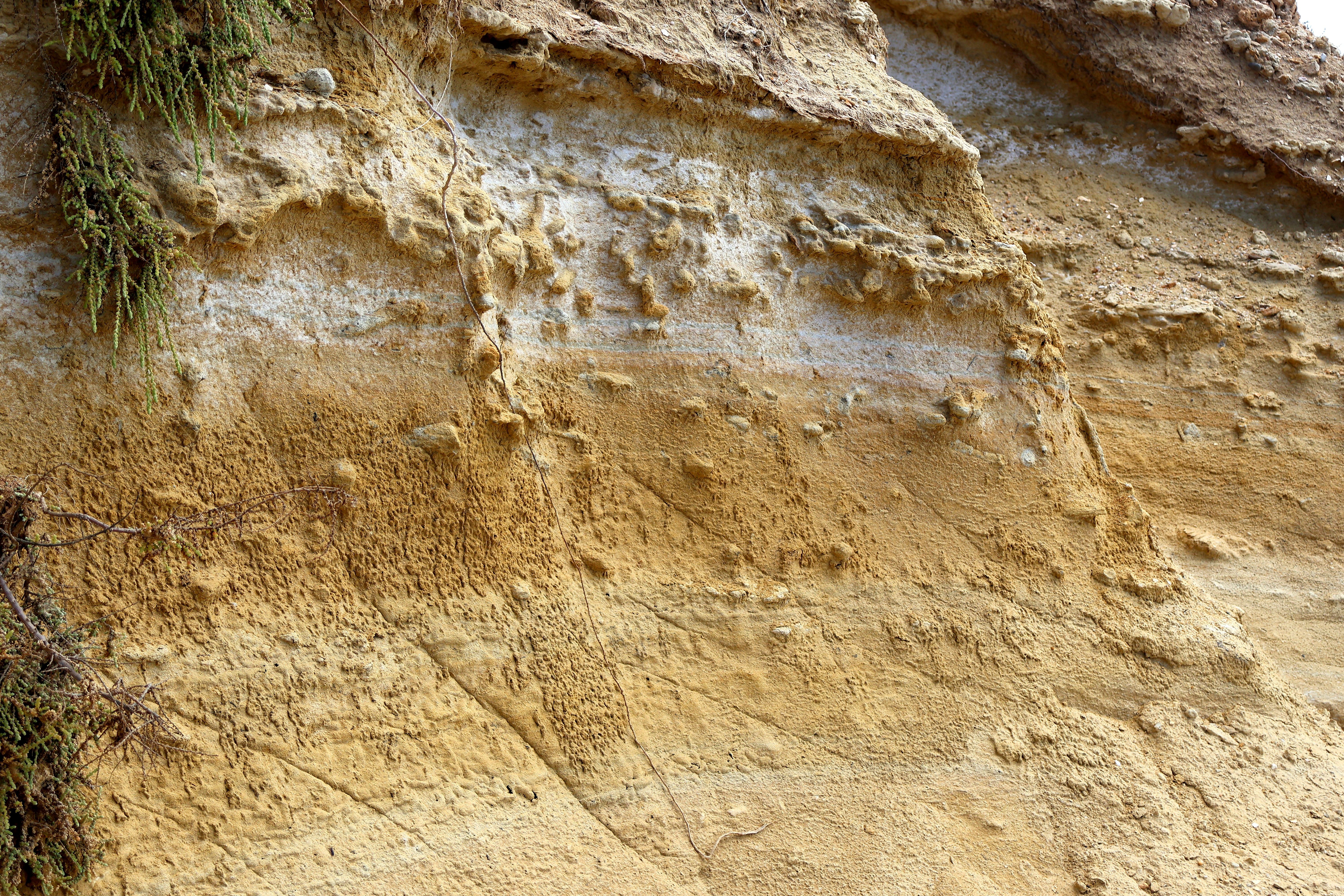 The sediment story: A journey that impacts India's rivers and surrounding landscapes