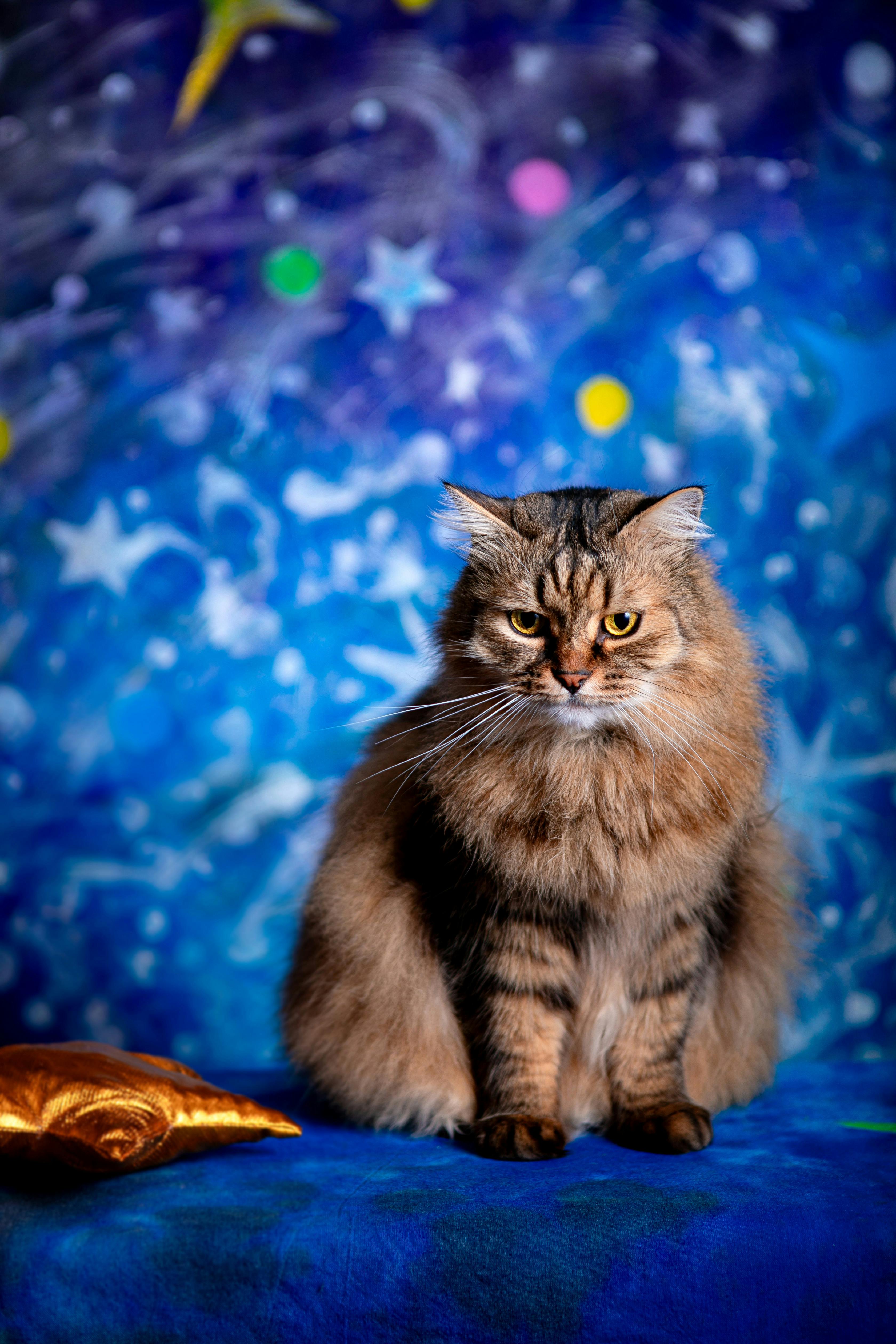 7. Tsuki ga Michibiku Isekai Douchuu (Tsukimichi -Moonlit Fantasy-) - Gods, Goddesses, and Grumpy Protagonists