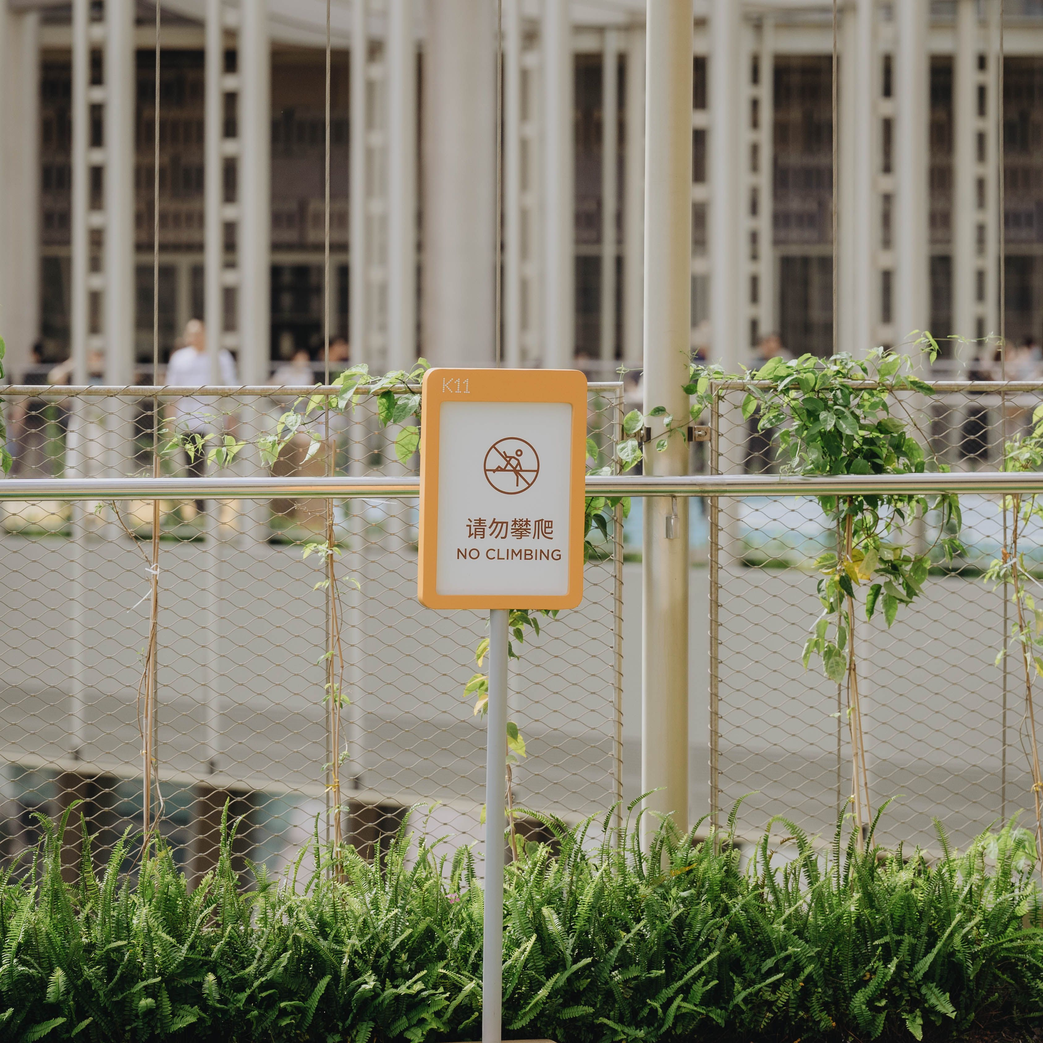 No climbing sign amidst lush greenery and urban architecture in indoor setting.