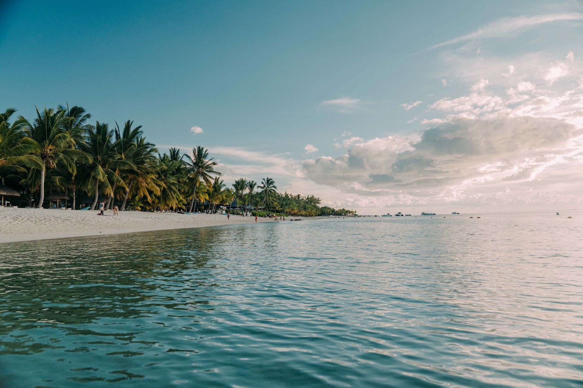 Serene tropical beach with lush palm trees and calm ocean waters under a blue sky. — free online jigsaw puzzle on JigsawPuzzlesFreeOnline.org