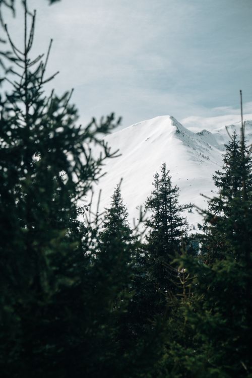 Free Serene view of a snowy mountain surrounded by lush evergreen trees, evoking a peaceful winter atmosphere. Stock Photo