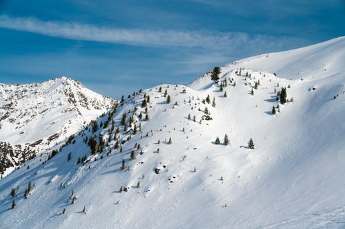 Free Serene snowy mountain peak covered with pine trees under clear blue skies. Stock Photo