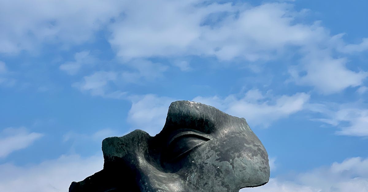 高醫中醫部眼針搭配西醫治療 助40歲男改善複視重拾生活品質