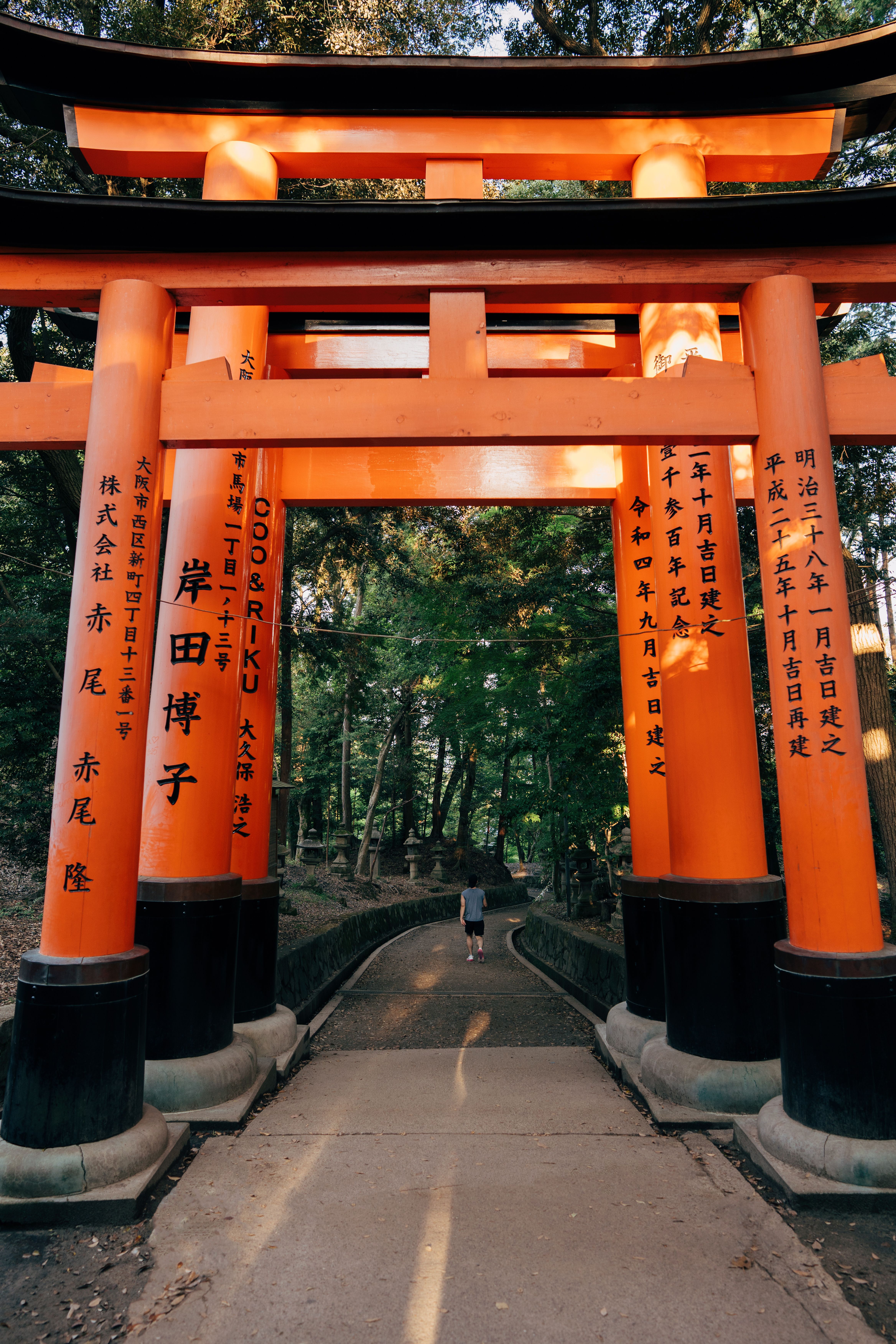 Iconic Torii Gate at Fushimi Inari Shrine · Free Stock Photo