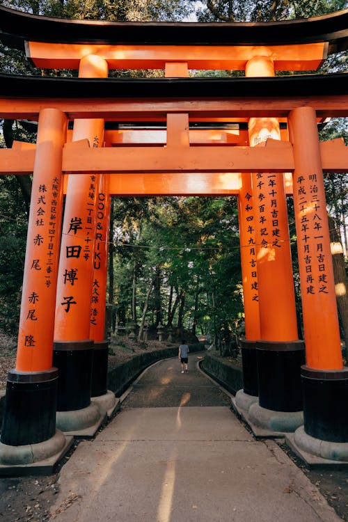 Free A vibrant Torii gate at Fushimi Inari Shrine in Kyoto, surrounded by lush greenery. Stock Photo