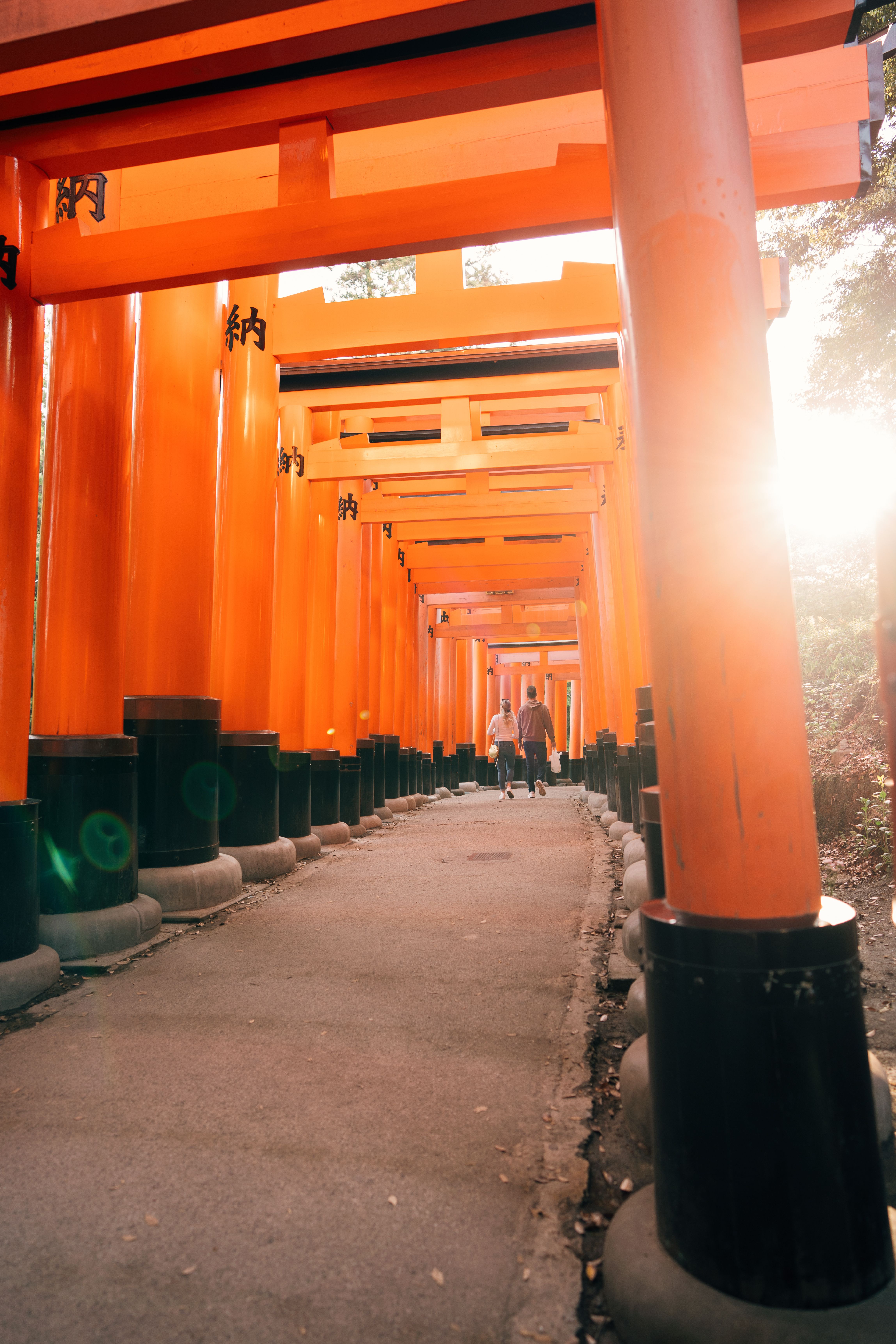 Sunlit Pathway through Iconic Torii Gates at Fushimi Inari · Free Stock ...