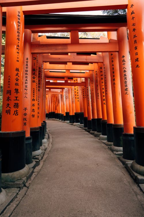 Torii Gates Pathway at Fushimi Inari Shrine · Free Stock Photo