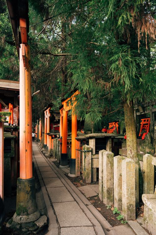 Free Serene pathway through Fushimi Inari Shrine lined with iconic red torii gates in Japan. Stock Photo