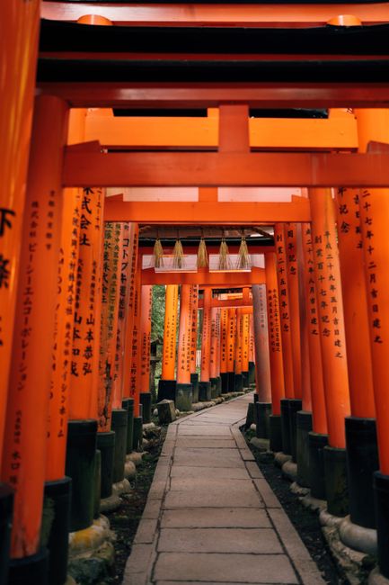 fushimi inari red torii gates kyoto