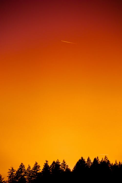 Free Photo of Orange Sky Stock Photo