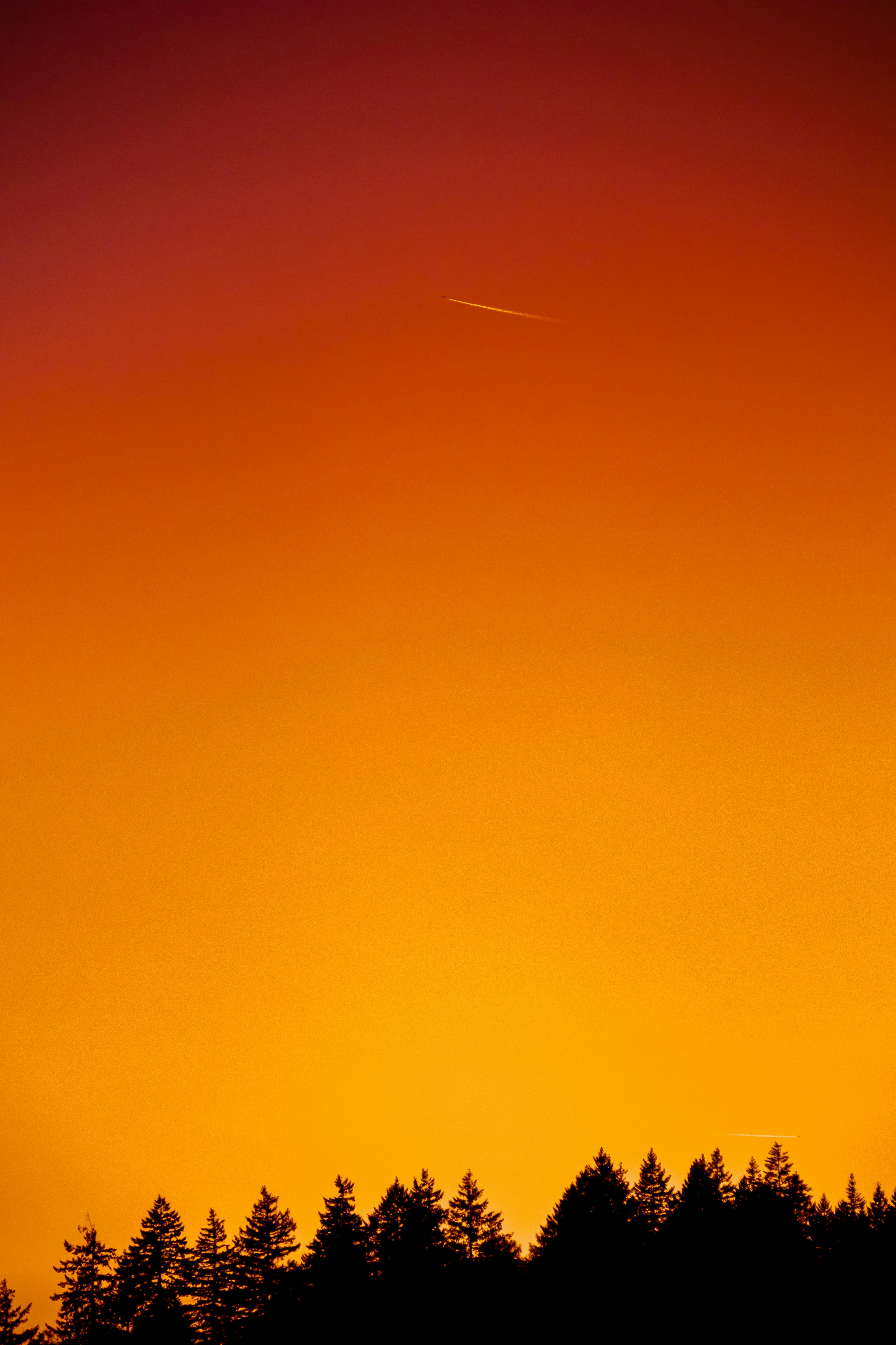 Details 100 orange sky background