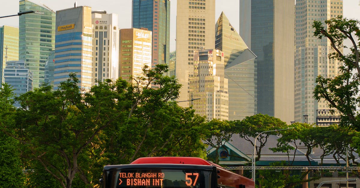 走訪2025台北國際夏季旅展參山館 免費搭台灣觀巴輕鬆出遊