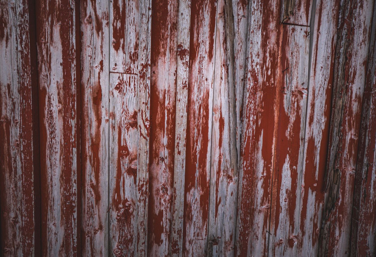 Fence and Decking Painting in Newbury Park — walls rolled to an even, flat finish
