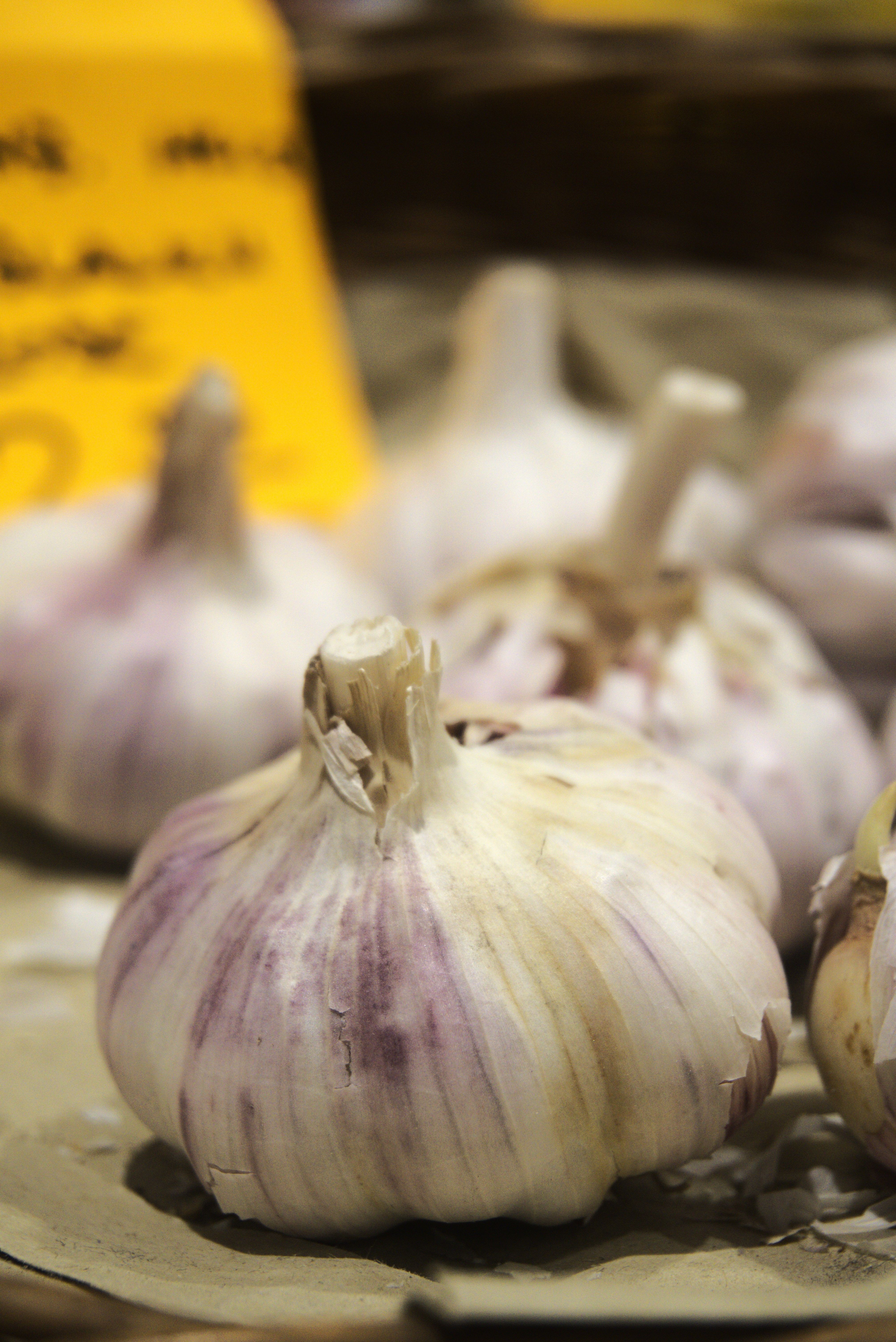 Bulb Tengkuk Photos, Download The BEST Free Bulb Tengkuk Stock Photos ...