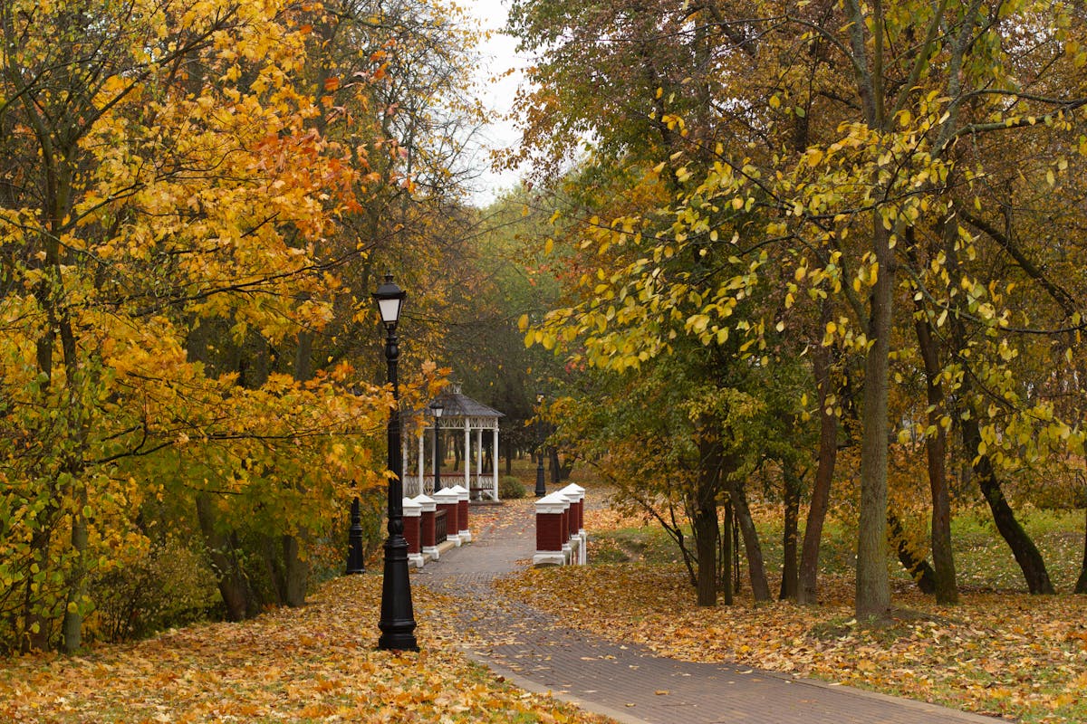 Pathway in autumn park leading to public gazebo