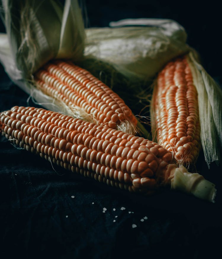 Corn Cobs Placed On Black Cloth