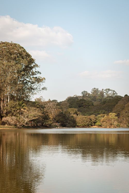Free Serene lakeside view with lush forest and clear skies, ideal for nature and travel themes. Stock Photo