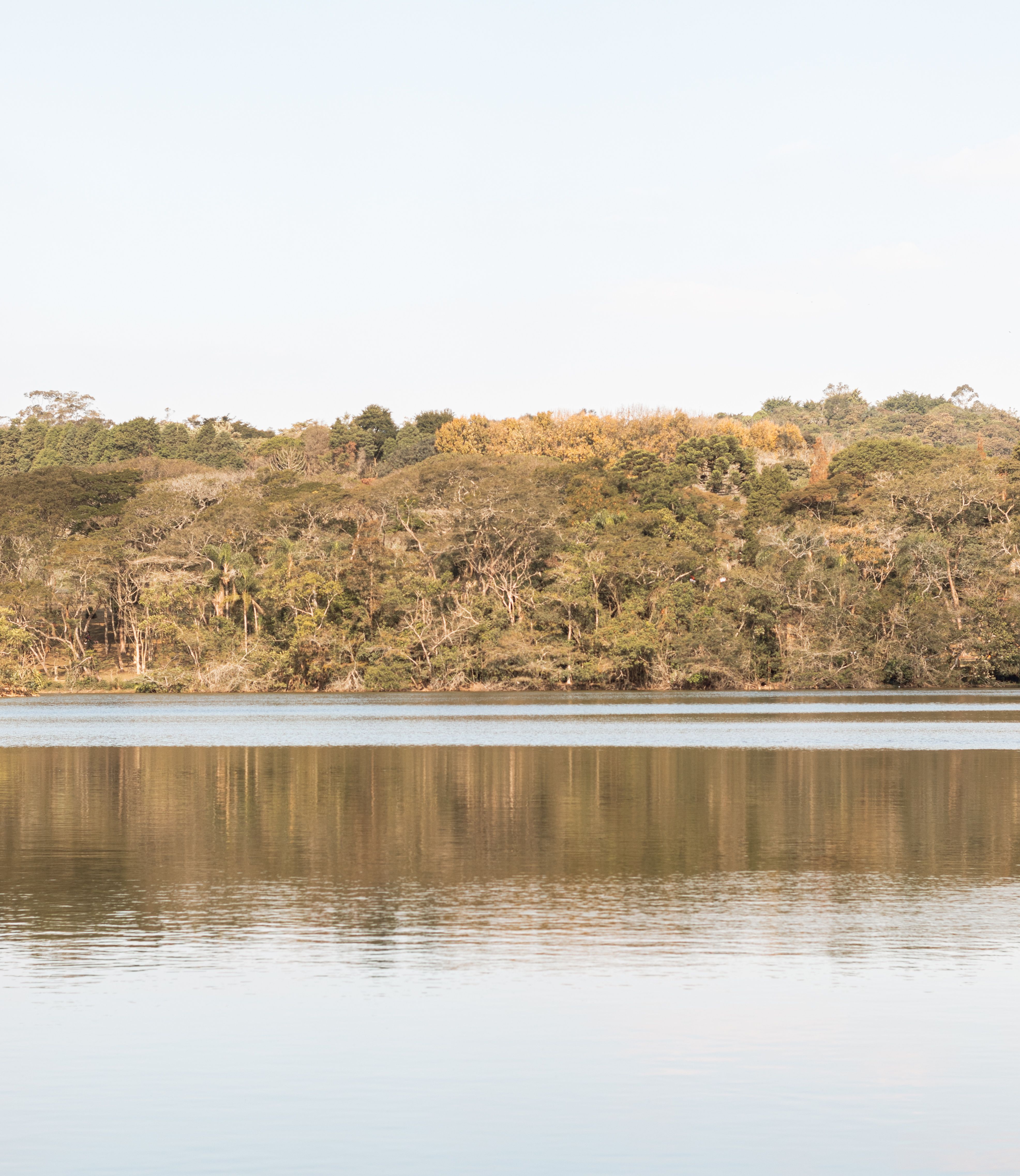 Serene Lake with Autumn Forest Reflection · Free Stock Photo