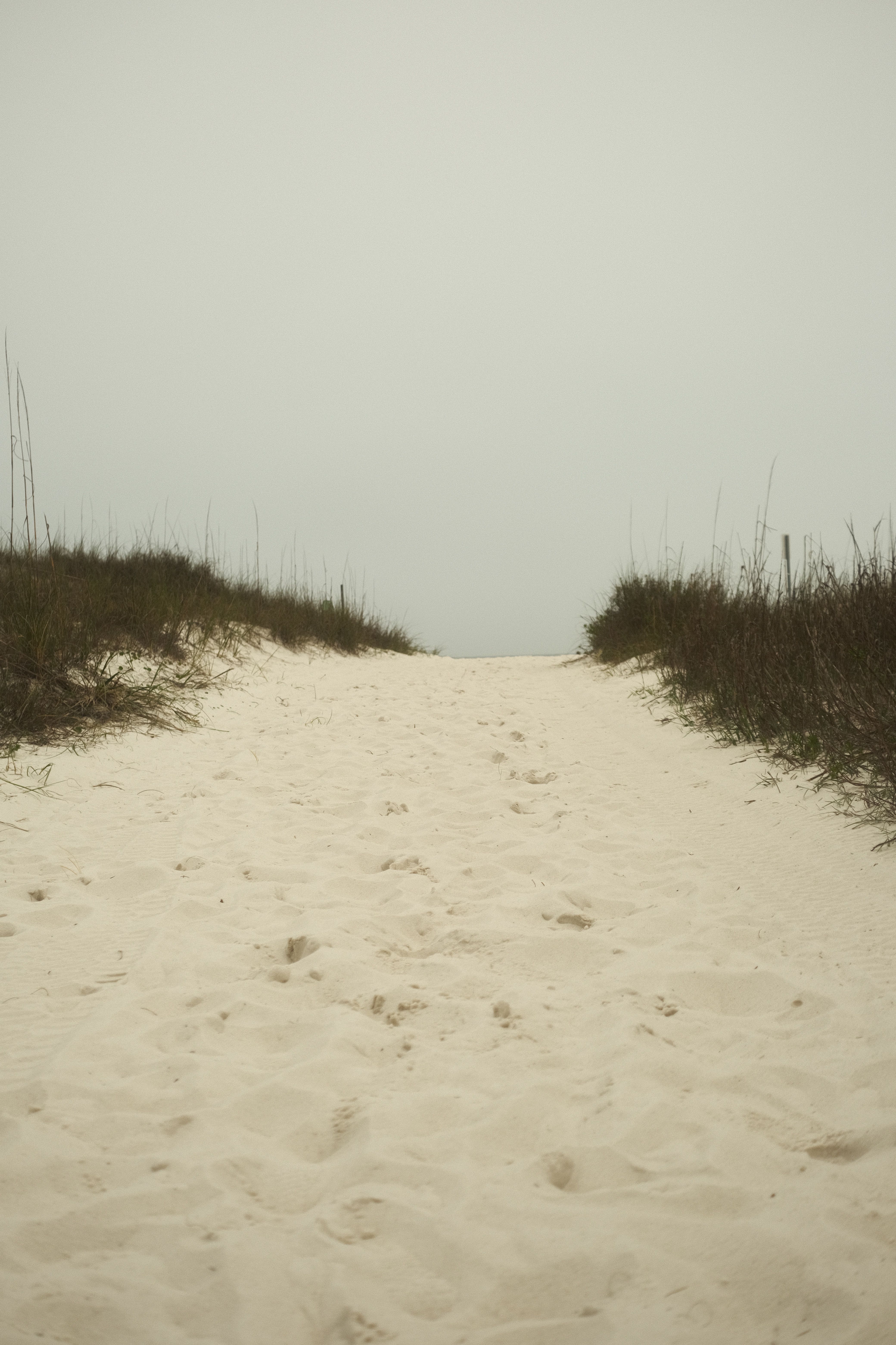 Sandy Path Leading to Overcast Beach Scene · Free Stock Photo