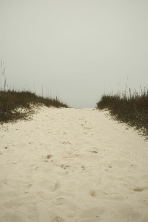 Sandy Path Leading to Overcast Beach Scene · Free Stock Photo