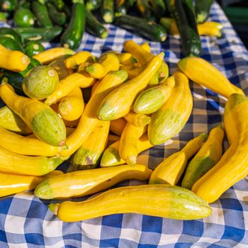 Fresh yellow and green squash on a checkered tablecloth at a local market.（イメージ）