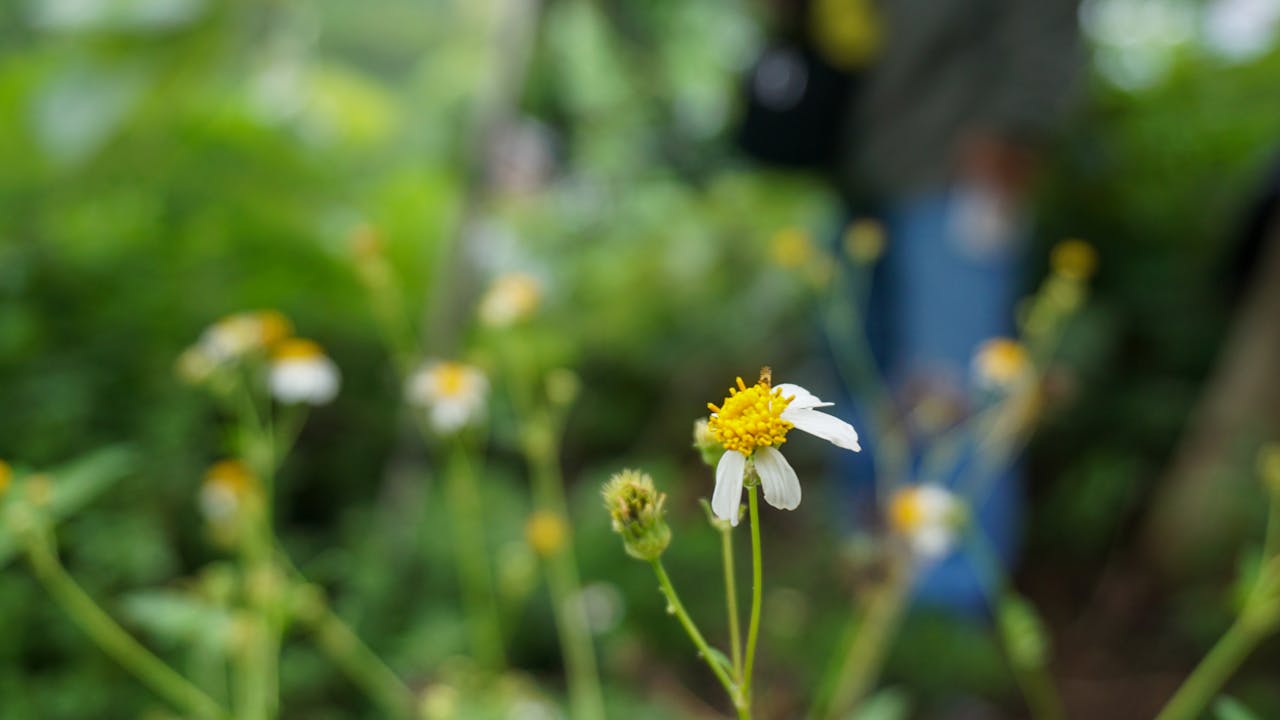 Thám tử lừng danh Conan | Chương 0312