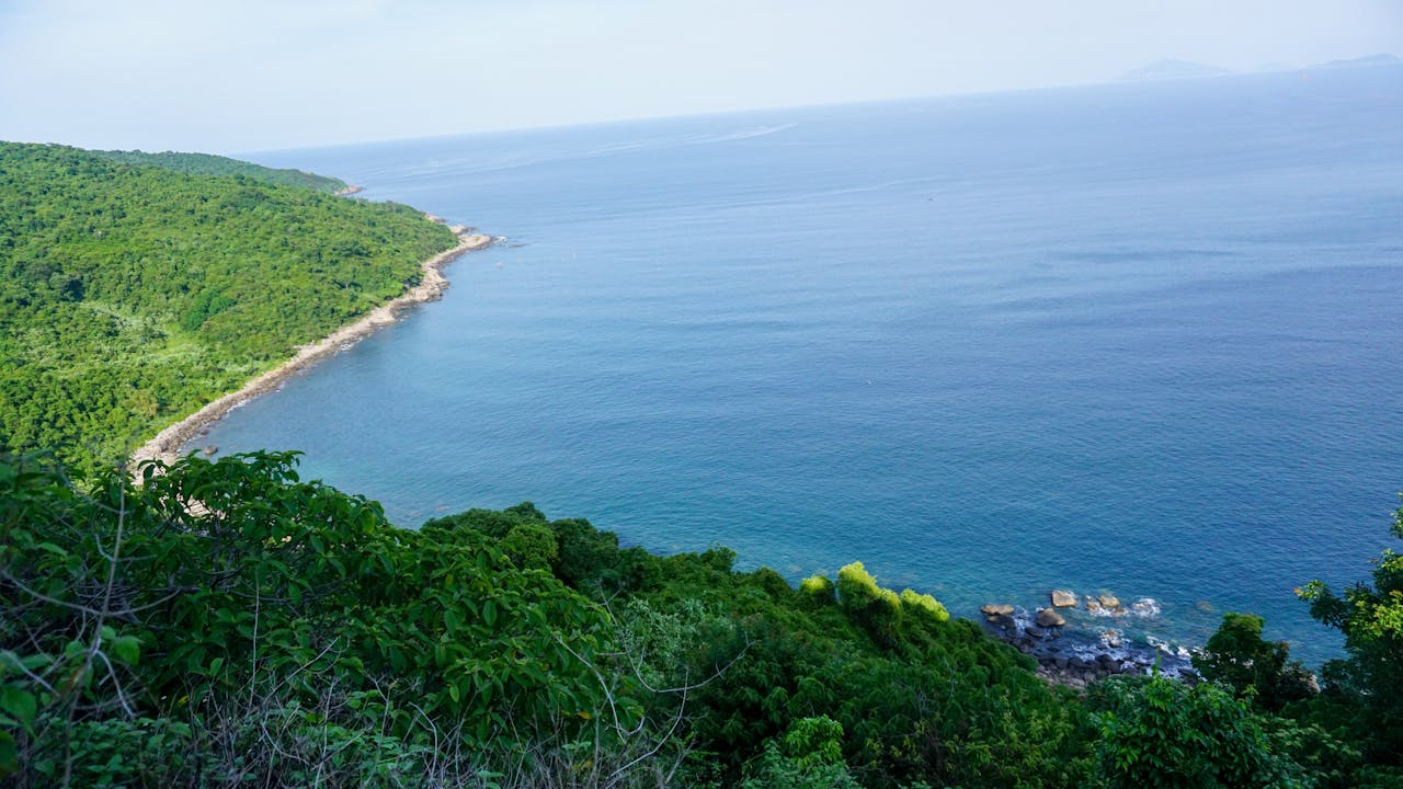 Loài không bản địa đe dọa hoang dã Nam Cực