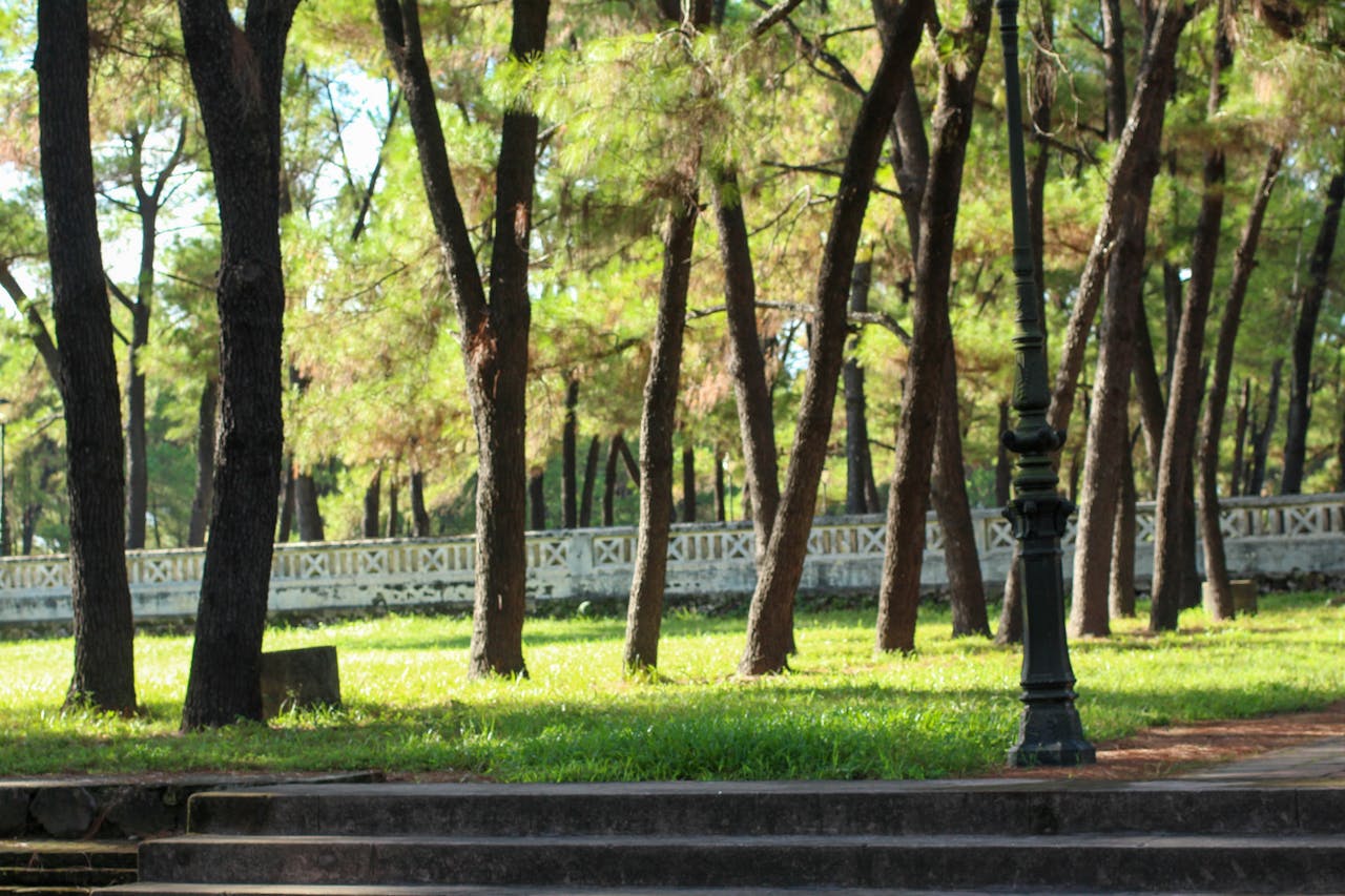 Phép lạ của sự thức tỉnh | Chương 04