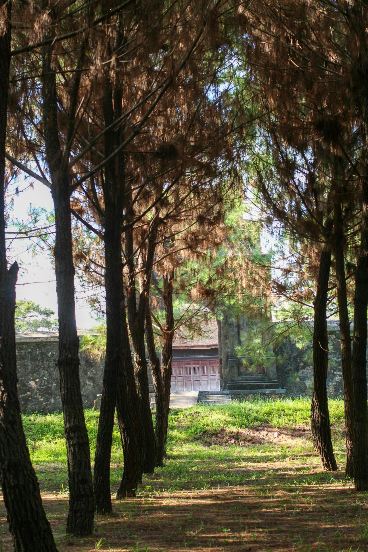 Đọc nhiều, hiểu sâu và viết hay