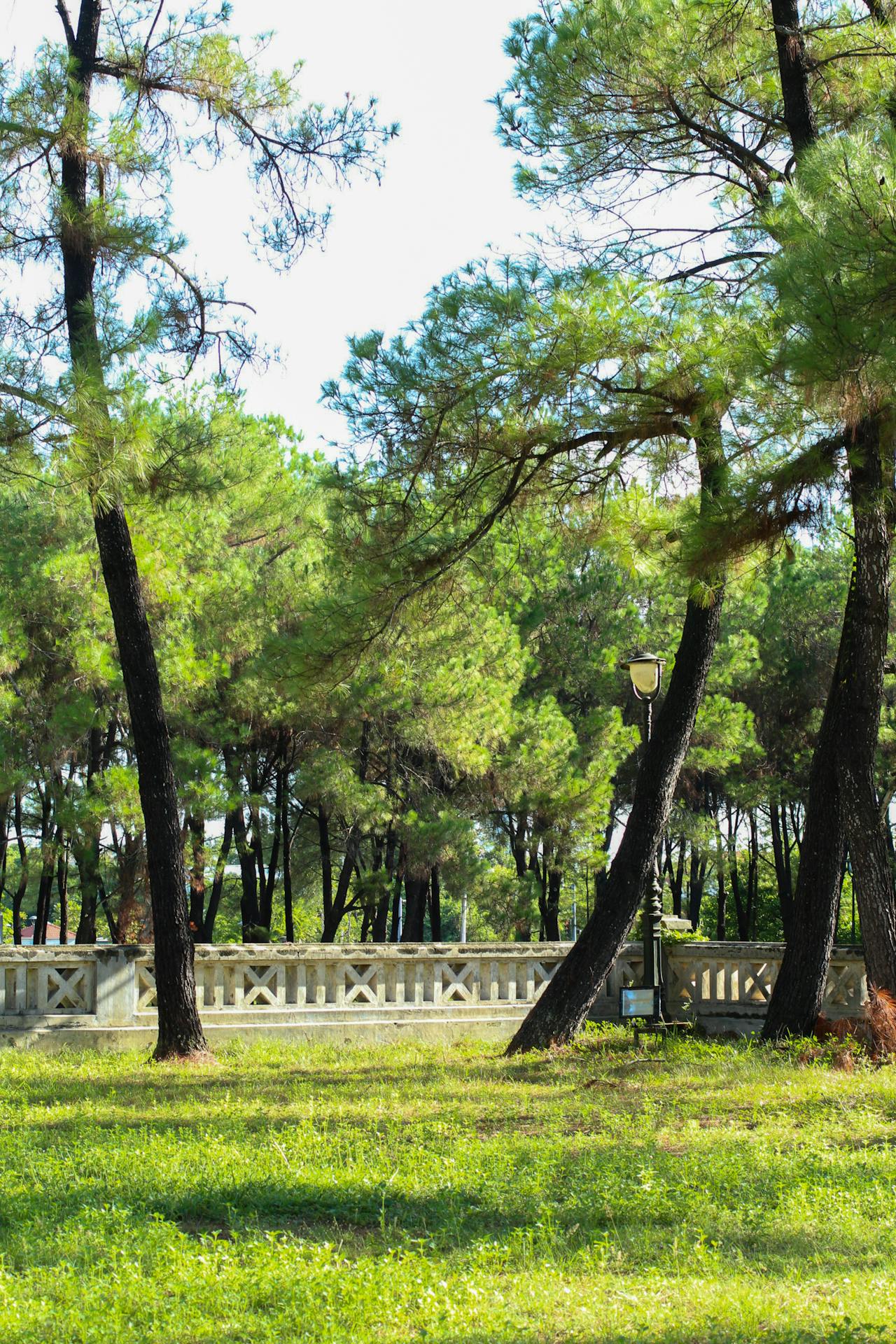 Thám tử lừng danh Conan | Chương 1094