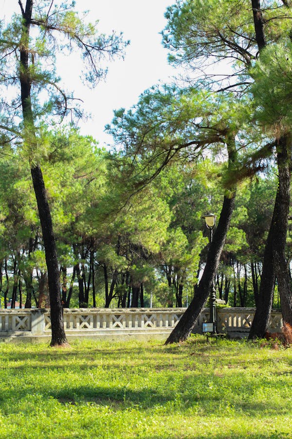 Trung tâm nghiên cứu văn học, phát triển nhà văn Việt Nam
