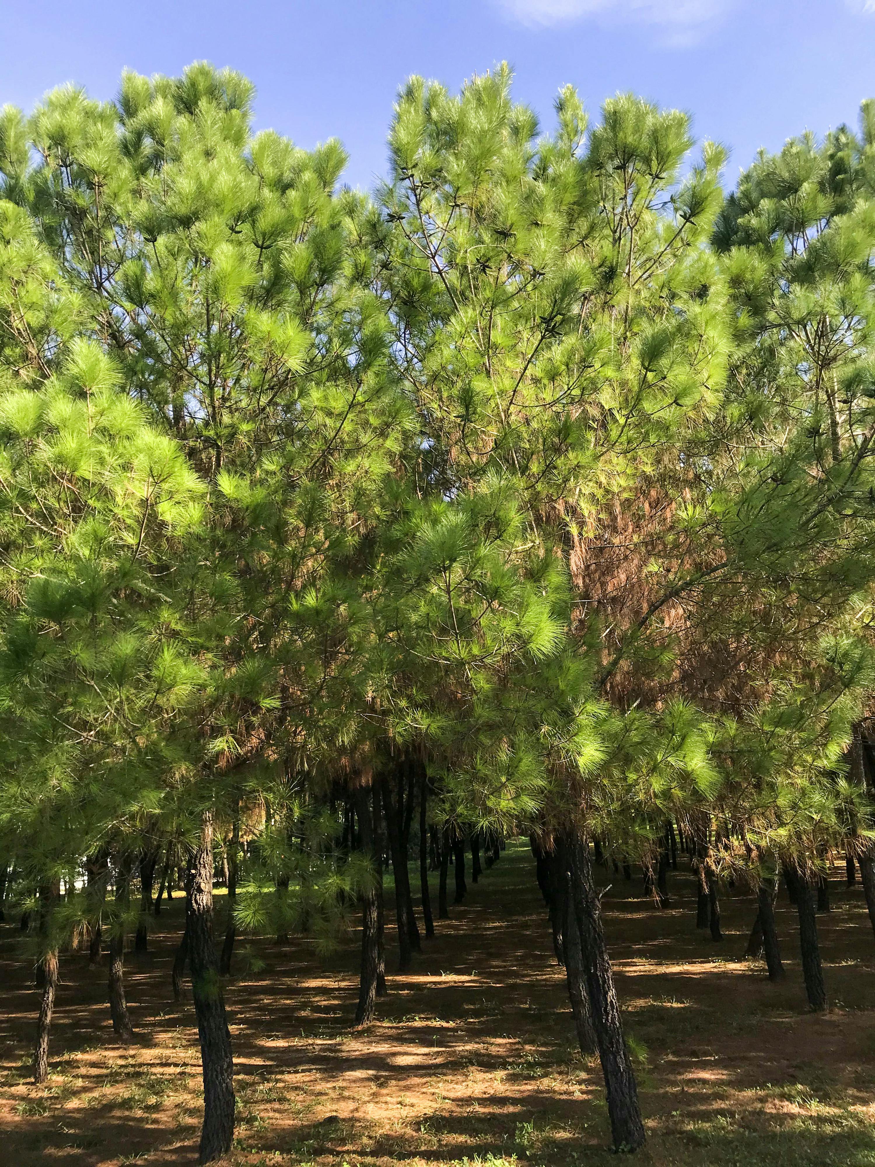 Hỏi đáp từ trái tim | Lời nói đầu