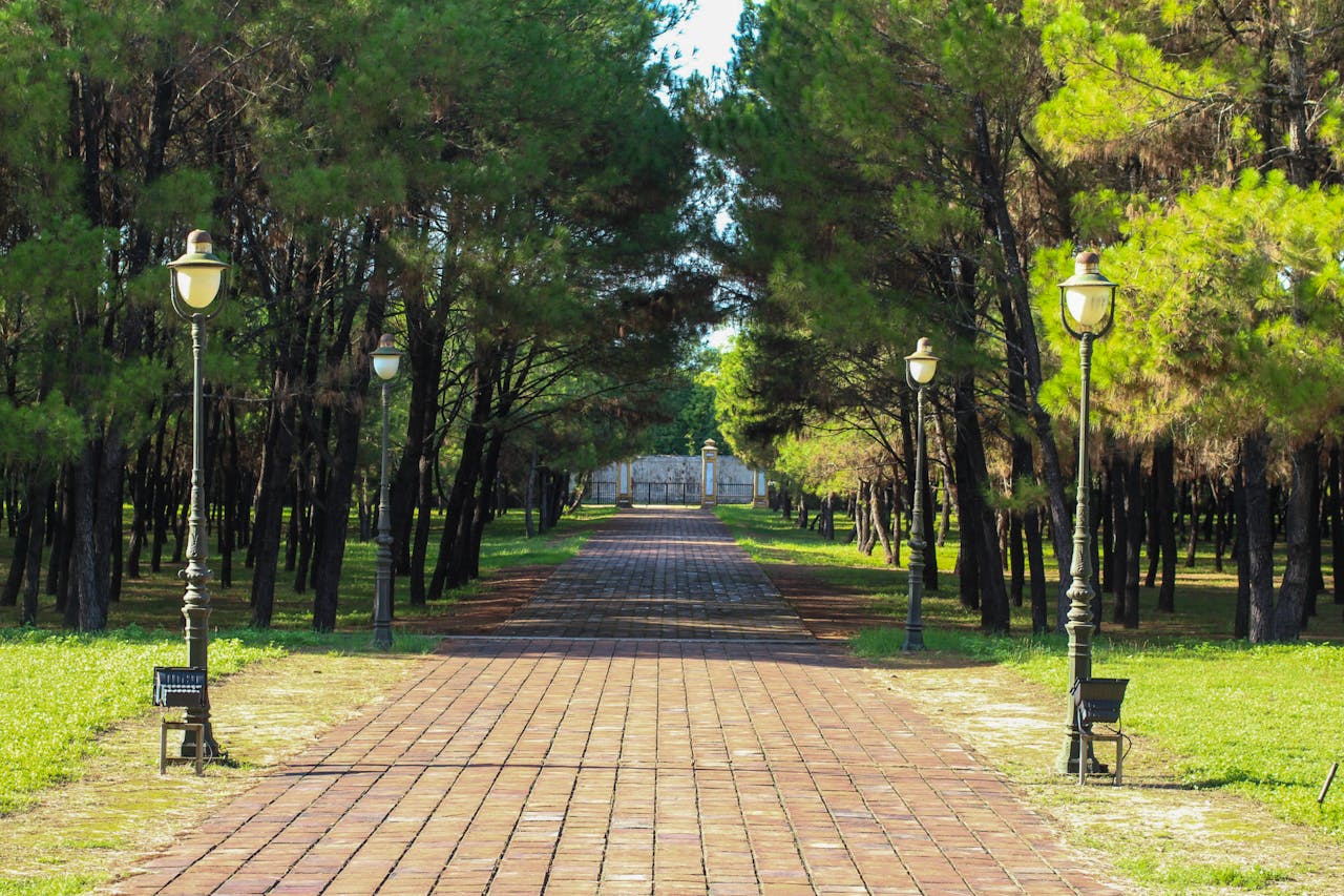 Đạo Phật đi vào cuộc đời | Chương 04