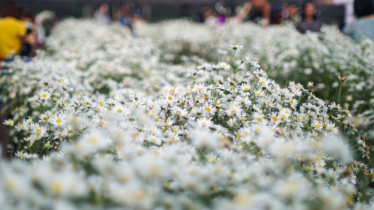 7 thay đổi với Trái Đất khi phá hủy mặt trăng