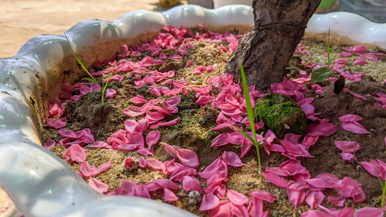 3 công cụ tư duy phản biện của Daniel Dennett