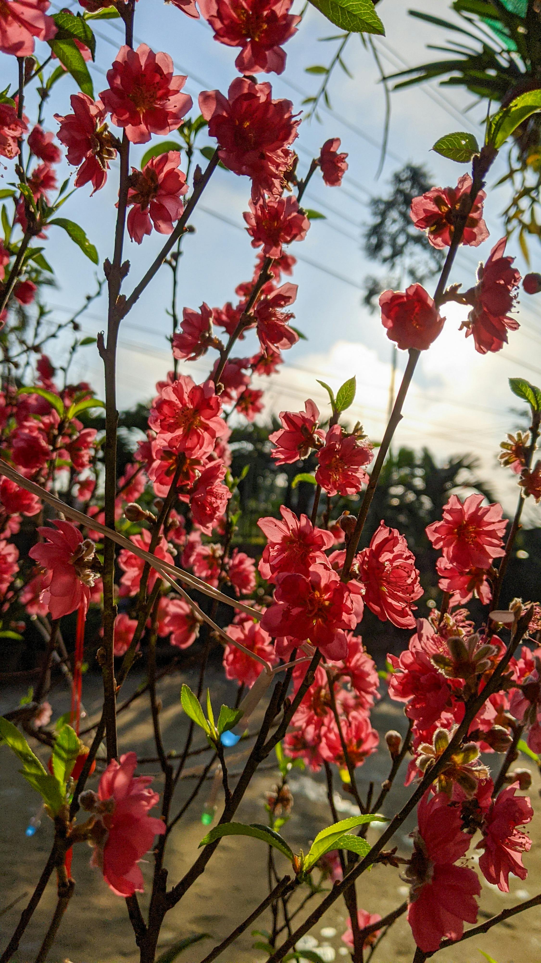 Cuộc săn lùng tàu tháng 10 đỏ | Chương 17