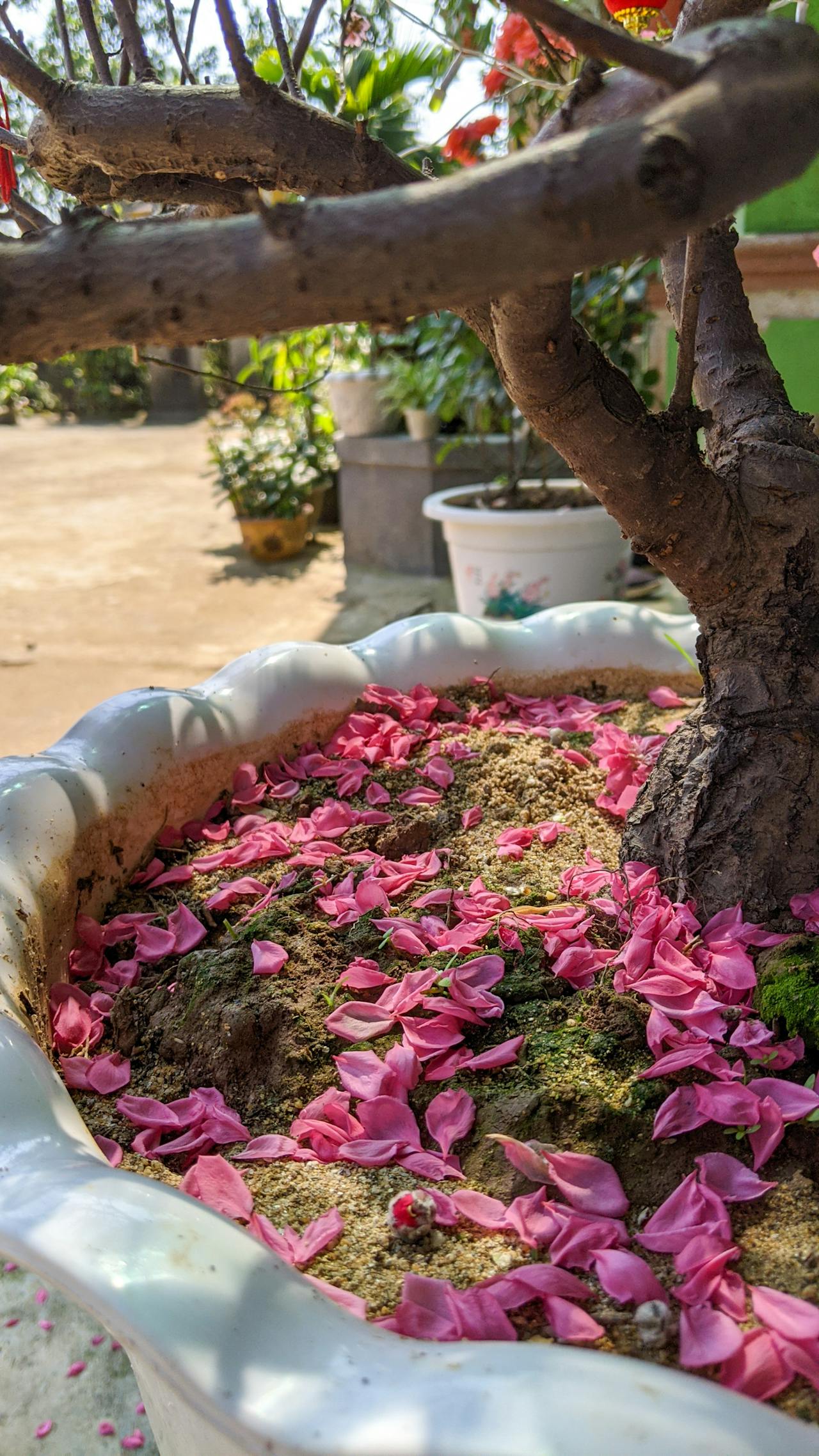 Thám tử lừng danh Conan | Chương 1059