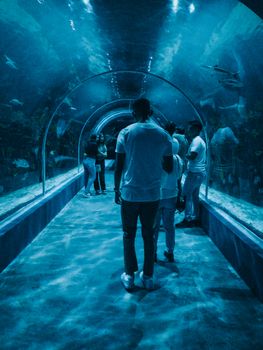 People walking through a mesmerizing underwater tunnel in Mexico City aquarium.
