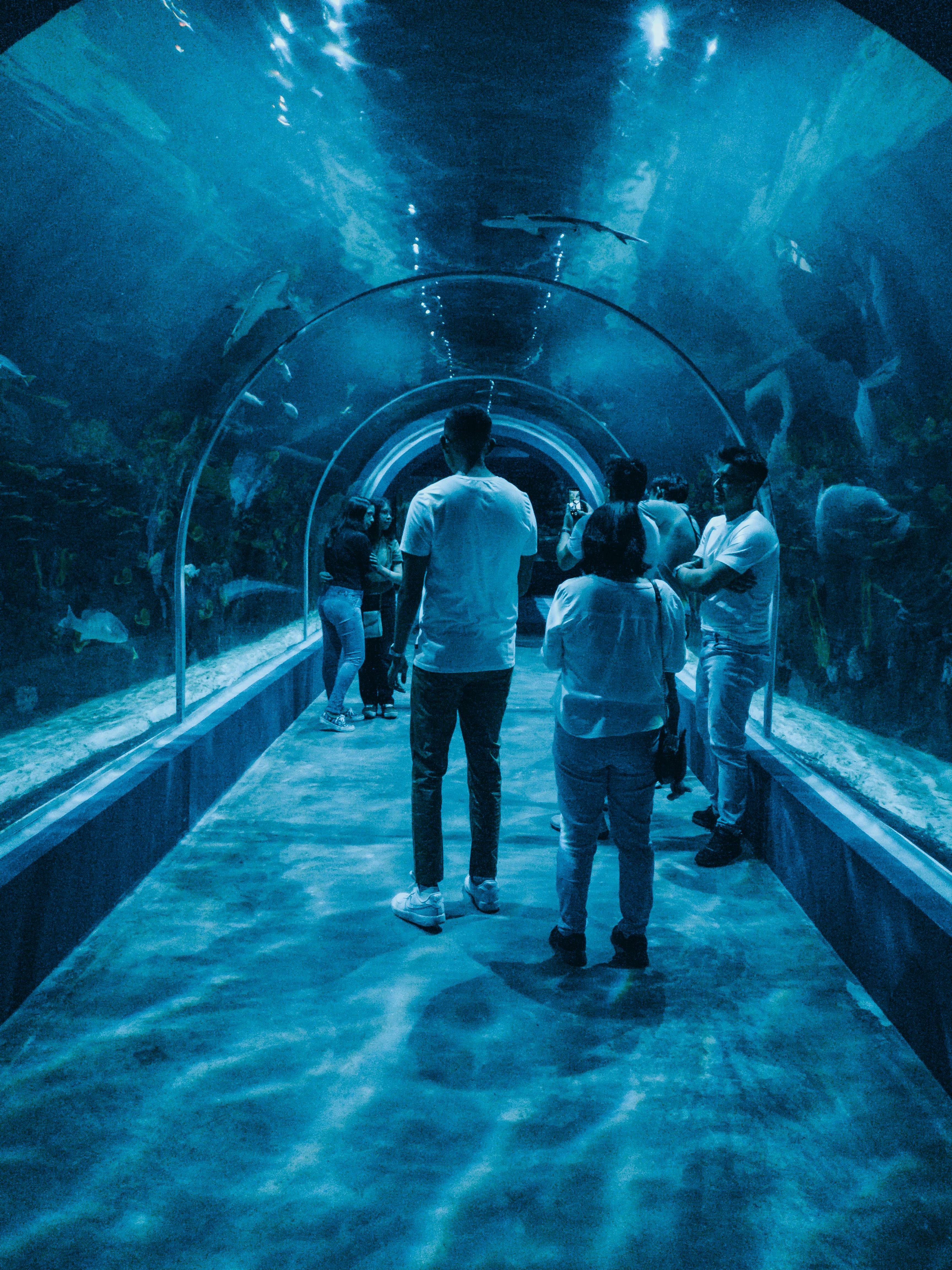 SEA LIFE London: biglietti, prezzi, orari e consigli per la visita