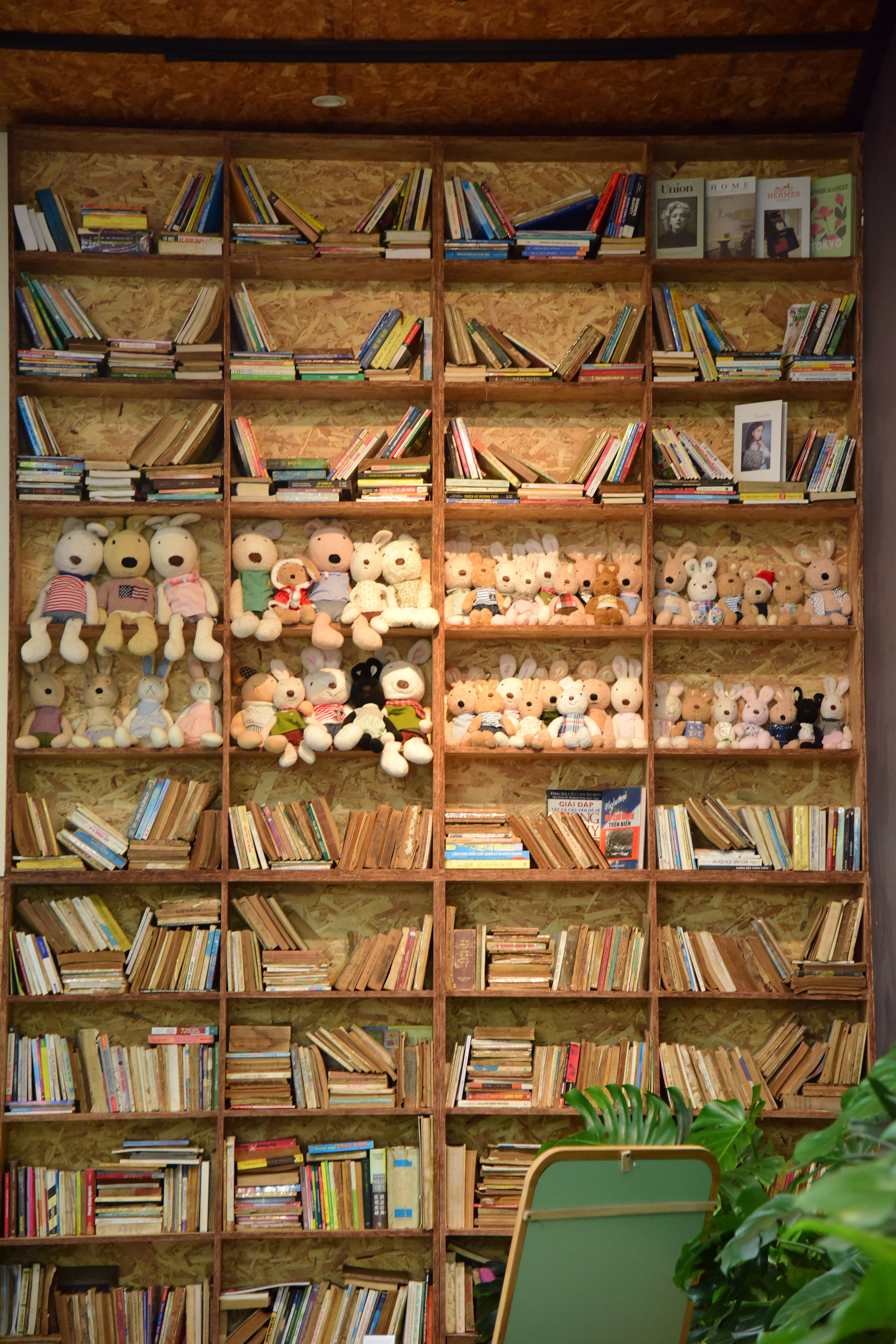 Rustic Bookshelf with Teddy Bears and Books · Free Stock Photo