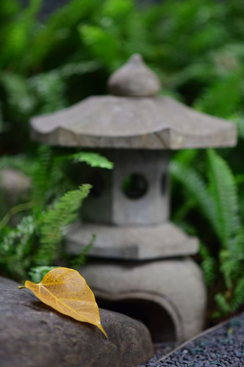Free Serene zen garden featuring a stone lantern among vibrant green ferns and a fallen leaf. Stock Photo