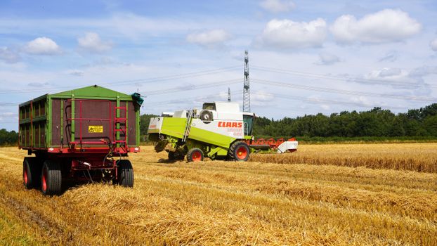 A combine harvester in action during harvest time in Geesthacht, Germany.