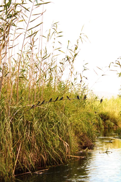 Free Azmak Nehri Stock Photo