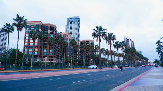 Urban skyline with palm trees and high-rise buildings along a city street at dusk.