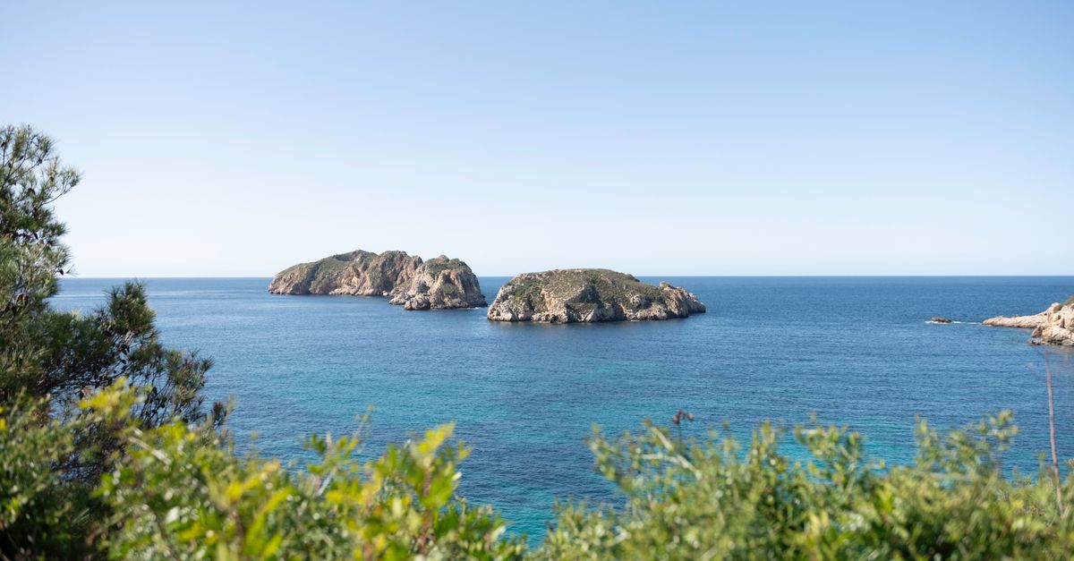 Guadeloupe Carte : Guide Complet des Îles 2026