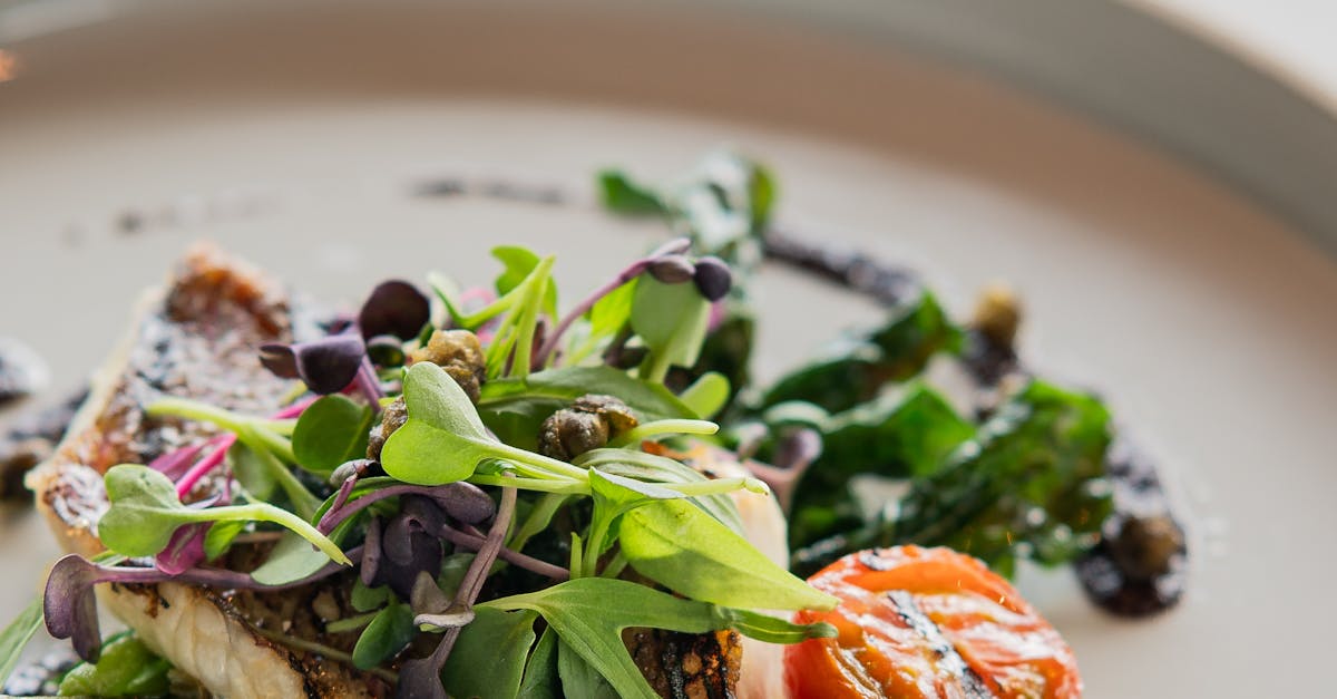 2025台北國際夏季旅展 漁業署 來到漁玩 主題館邀你玩轉漁村品味海味