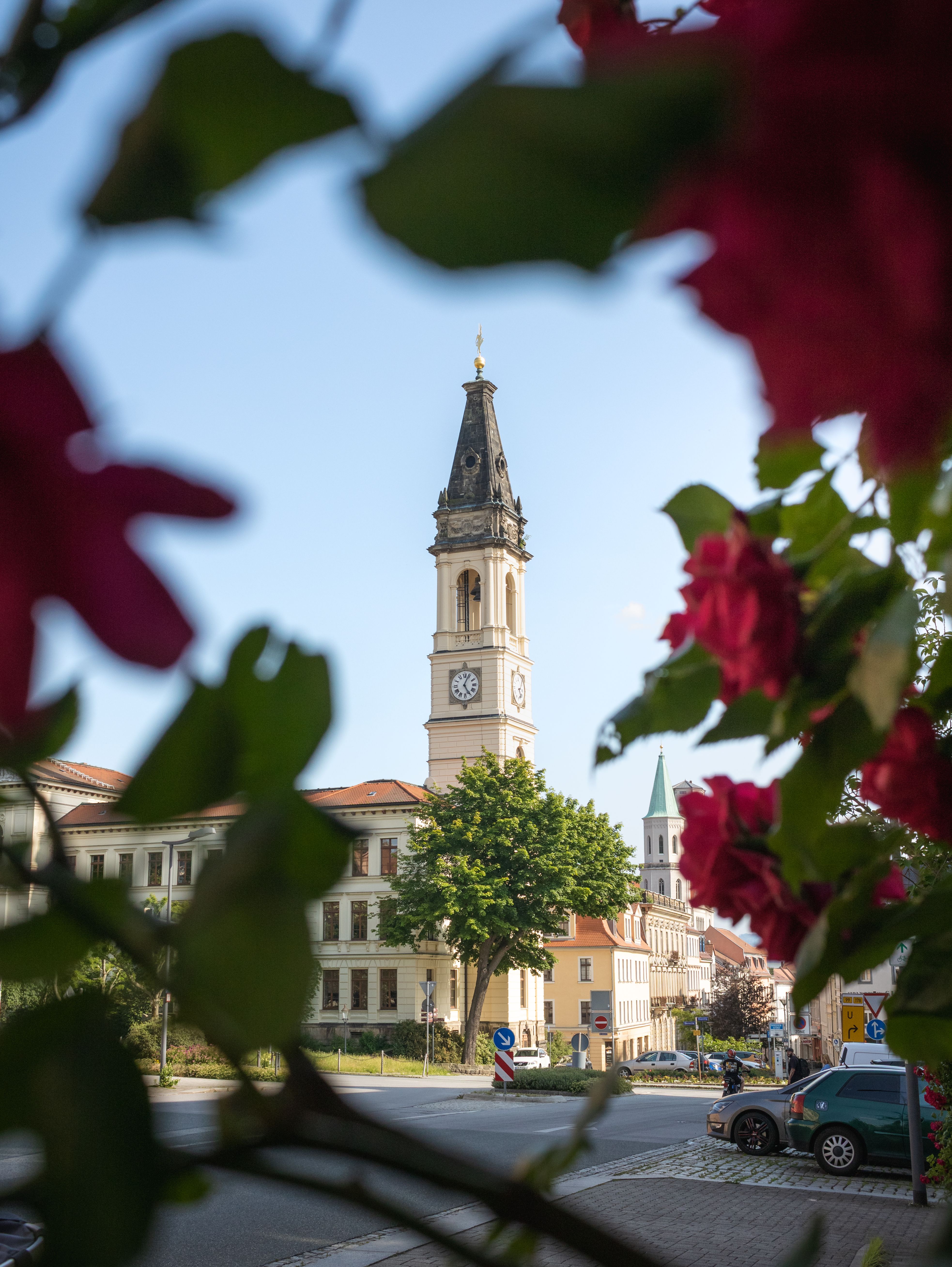 Framed by flowers, the Marienkirche tower stands tall in Zittau, depicting a serene urban scene.